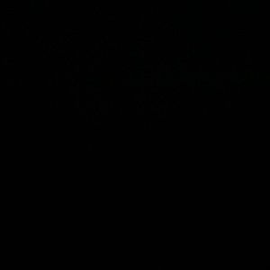 Meet your Posher, Maxwell